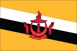 Brunei 3x5 Flag