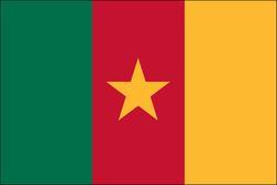 Cameroon 3x5 Flag