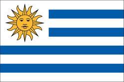 Uruguay 3x5 Flag