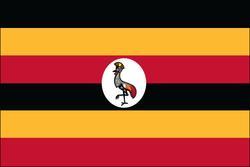Uganda 3x5 Flag