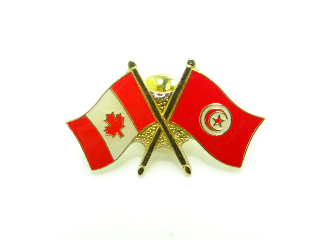 Tunisia Friendship Pin