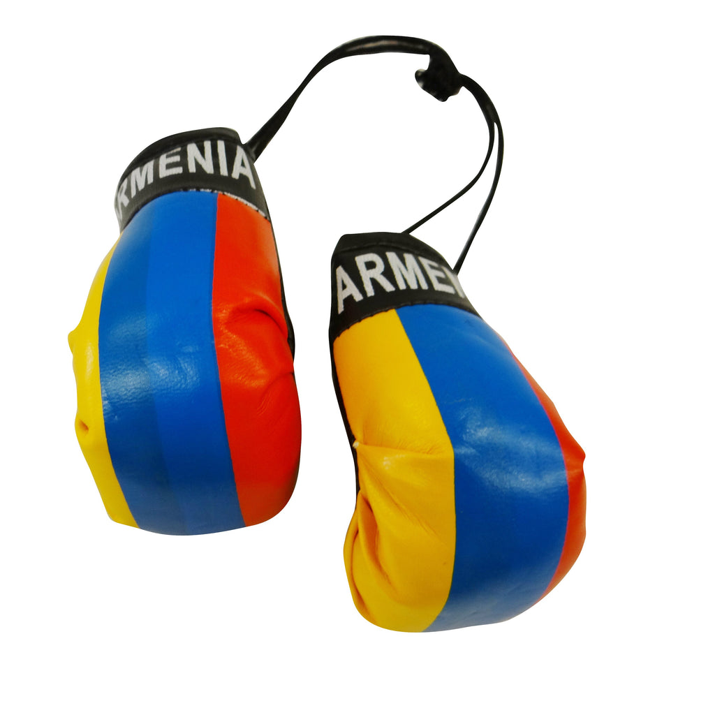 Armenia Boxing Glove