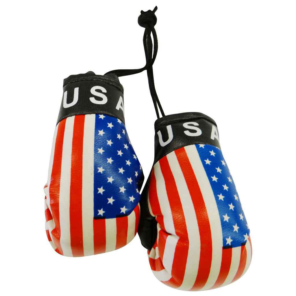 United States of America Boxing Glove