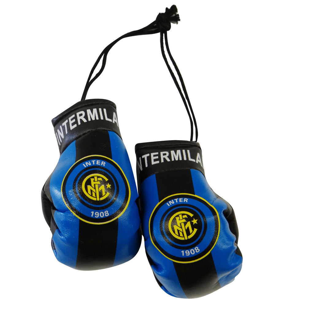 Inter Milan Boxing Glove