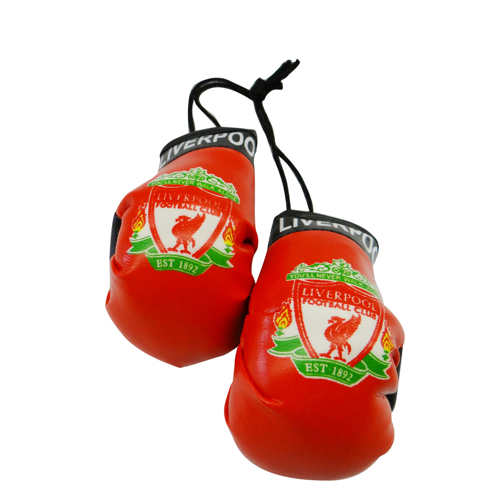 Liverpool Boxing Glove