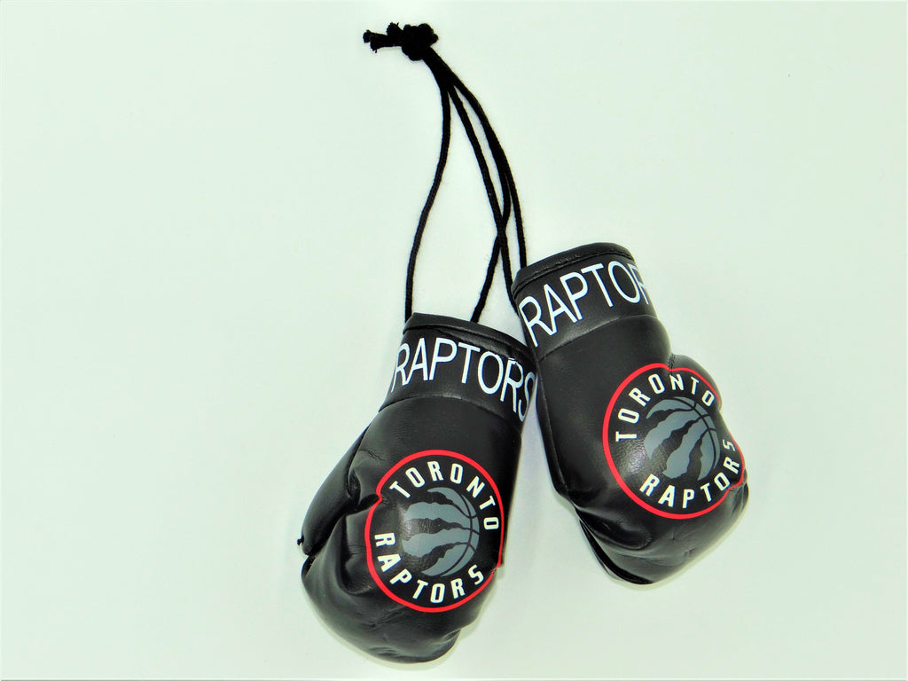 Toronto Raptors Boxing Glove