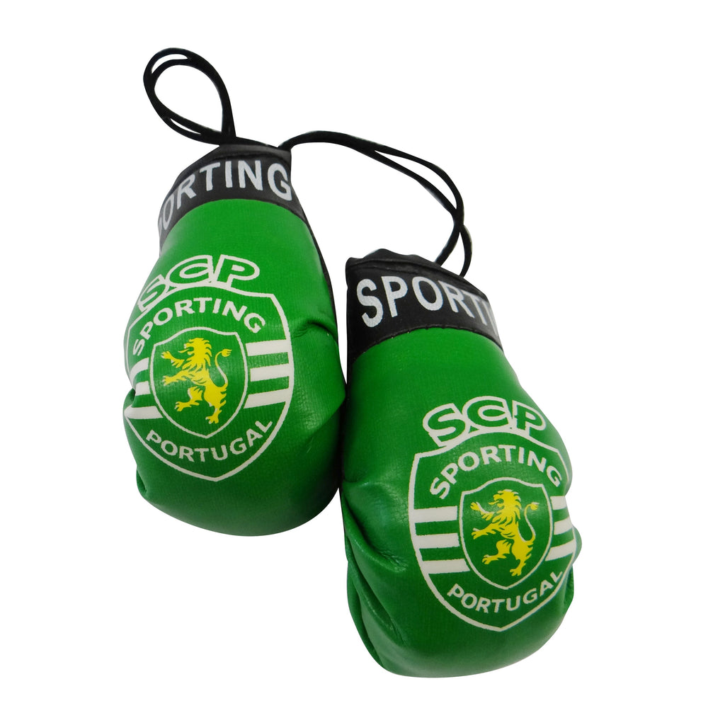 Sporting Boxing Glove