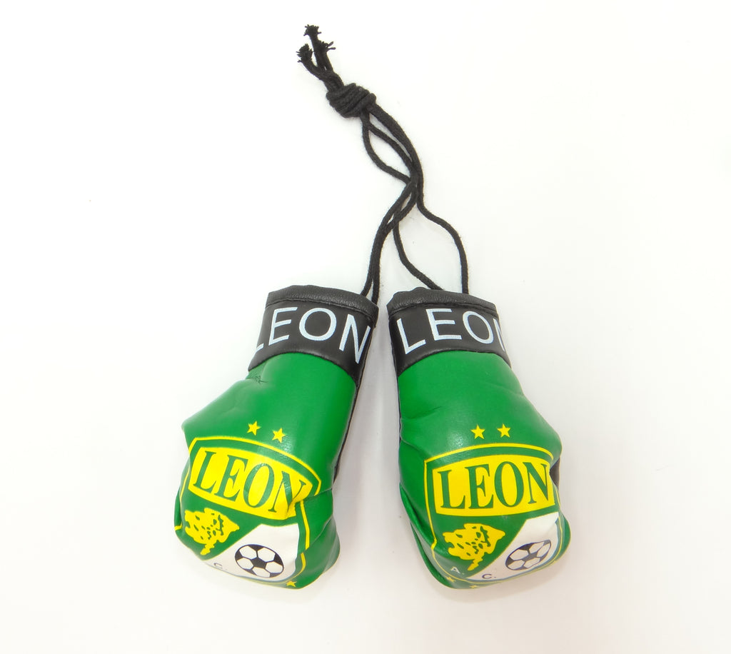 Leon Boxing Glove