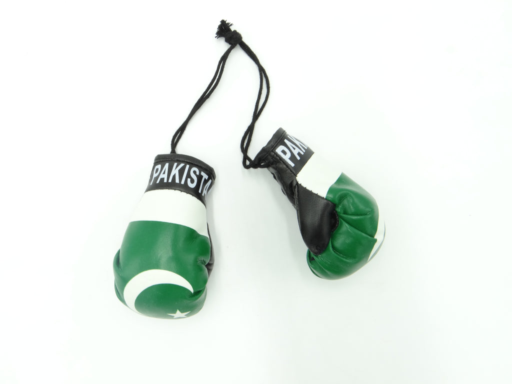 Pakistan Boxing Glove